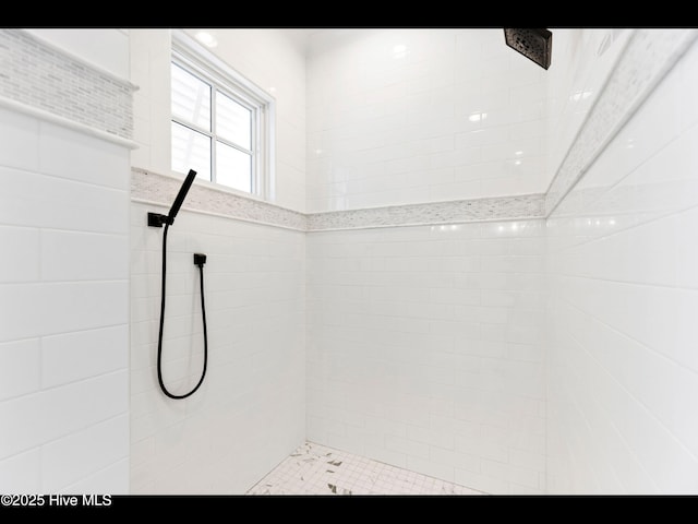 1012 Midnight Channel Rd, Wilmington, NC 28403 - full bathroom with a tile shower