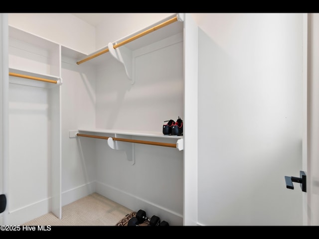 1012 Midnight Channel Rd, Wilmington, NC 28403 - walk in closet featuring carpet flooring