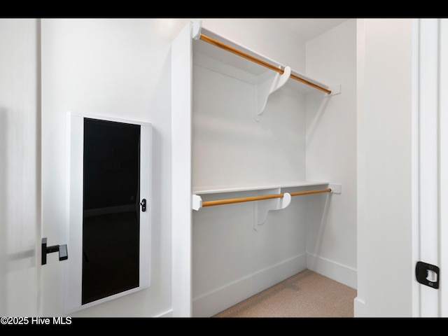 1012 Midnight Channel Rd, Wilmington, NC 28403 - spacious closet featuring carpet floors
