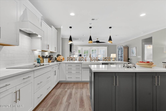 9294 Murphy Way SW, Calabash, NC 28467 - kitchen with premium range hood, a sink, gray cabinets, white cabinets, and crown molding