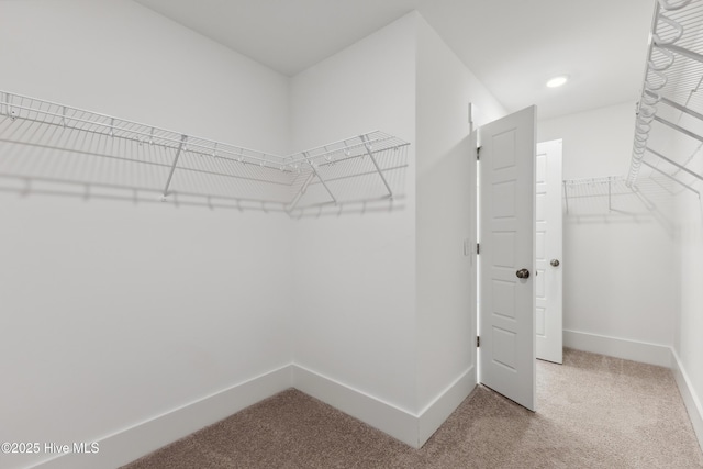 749 Cypress Village Pl, Wilmington, NC 28412 - spacious closet with light carpet