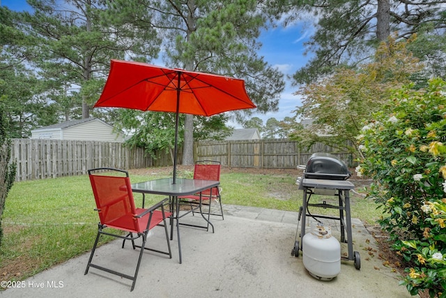 1182 Amber Pines Dr, Leland, NC 28451 - view of patio / terrace with area for grilling and outdoor dining area
