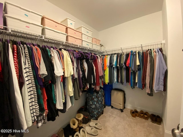 4224 Pegasus Pkwy, Leland, NC 28451 - walk in closet featuring carpet