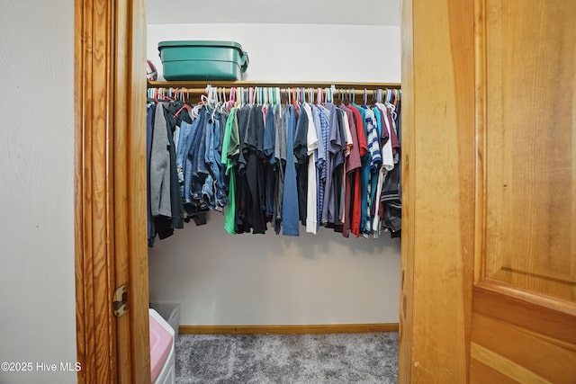 145 N Point Blvd, Moyock, NC 27958 - spacious closet with carpet floors