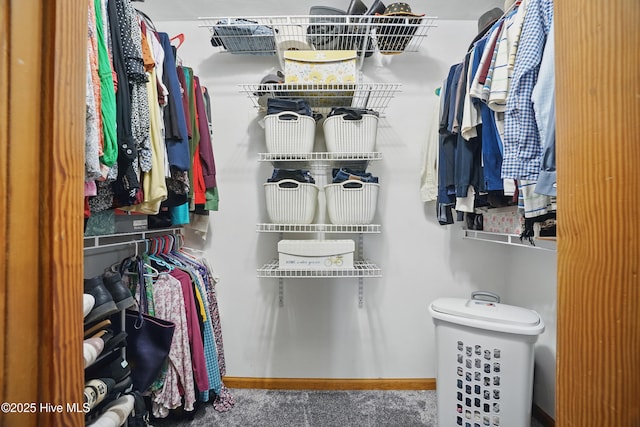 145 N Point Blvd, Moyock, NC 27958 - view of walk in closet