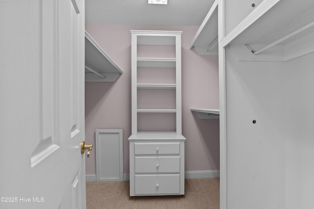 151 Pungo View Rd, Belhaven, NC 27810 - spacious closet featuring carpet flooring