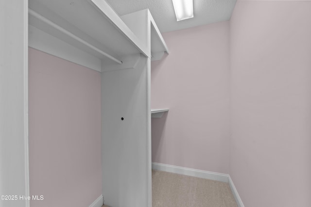 151 Pungo View Rd, Belhaven, NC 27810 - walk in closet featuring carpet floors