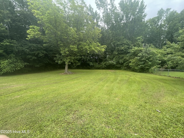 5011 Community Grocery Rd, Wilson, NC 27893 - view of yard