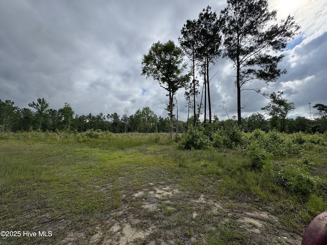 TRACT2A Southport Supply Rd, Bolivia, NC 28422