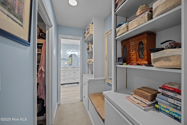 112 Lakeview Ln, Washington, NC 27889 - hall with light carpet and a textured ceiling