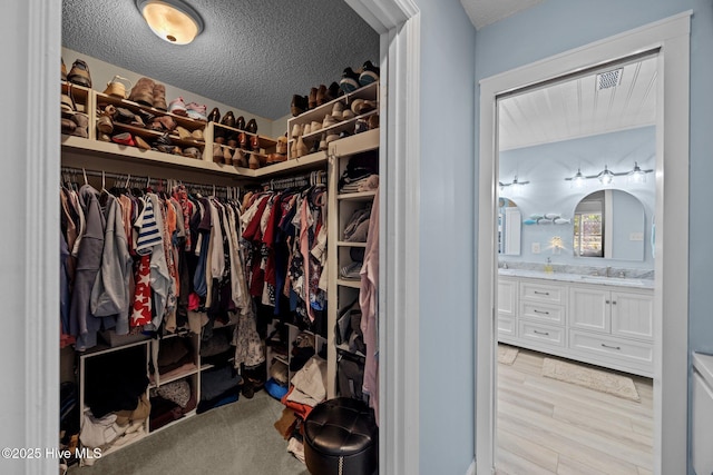 112 Lakeview Ln, Washington, NC 27889 - walk in closet with a sink and light wood-style floors