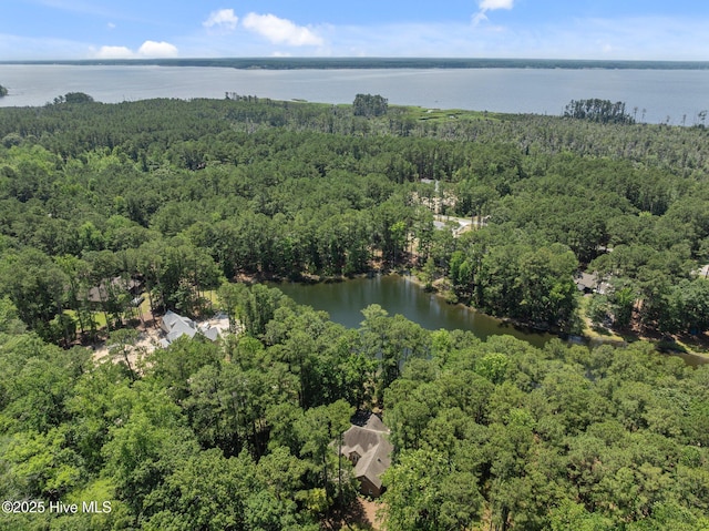 112 Lakeview Ln, Washington, NC 27889 - view of property location featuring a forest and a nearby body of water
