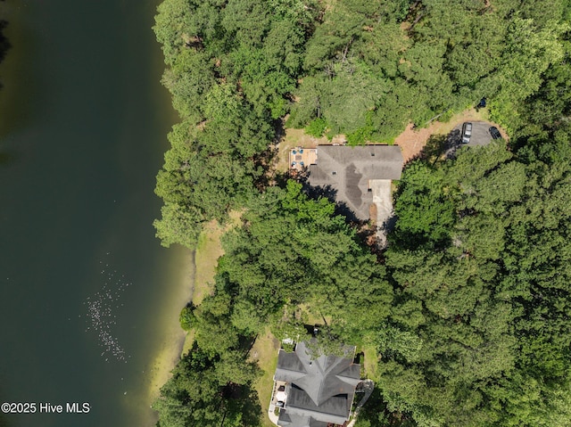 112 Lakeview Ln, Washington, NC 27889 - aerial view of a forest