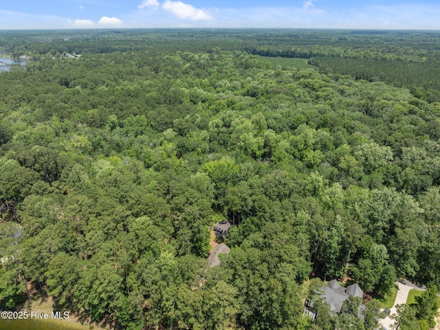 112 Lakeview Ln, Washington, NC 27889 - aerial overview of property's location featuring a forest