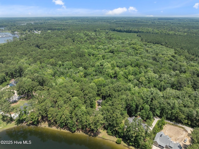112 Lakeview Ln, Washington, NC 27889 - view of property location featuring a heavily wooded area and a large body of water