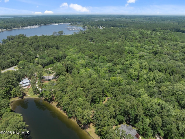 112 Lakeview Ln, Washington, NC 27889 - view of property location with a forest