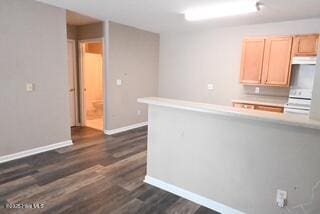 5610 Carolina Beach Rd Unit 6, Wilmington, NC 28412 - kitchen with dark wood finished floors, light countertops, and baseboards