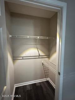 5610 Carolina Beach Rd Unit 6, Wilmington, NC 28412 - view of closet