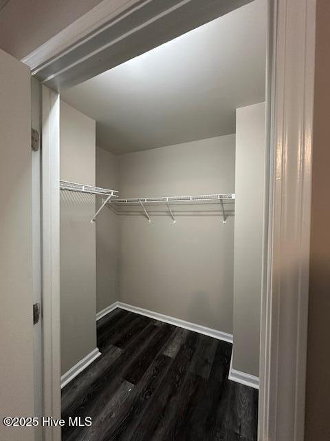 5610 Carolina Beach Rd Unit 6, Wilmington, NC 28412 - spacious closet with dark wood-type flooring