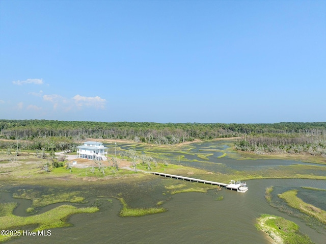 316 Bettie Path Rd, Beaufort, NC 28516 - aerial view of a forest and a nearby body of water