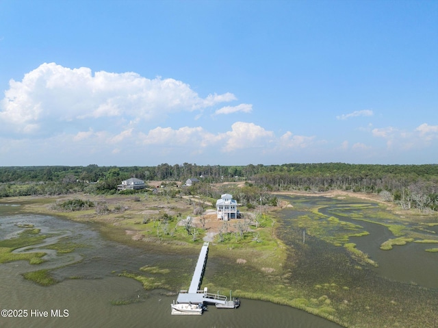 316 Bettie Path Rd, Beaufort, NC 28516 - drone / aerial view