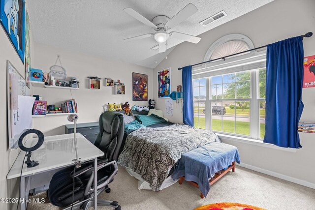 302 Fairmount Way, New Bern, NC 28562 - bedroom featuring a textured ceiling, vaulted ceiling, multiple windows, carpet flooring, and an office area