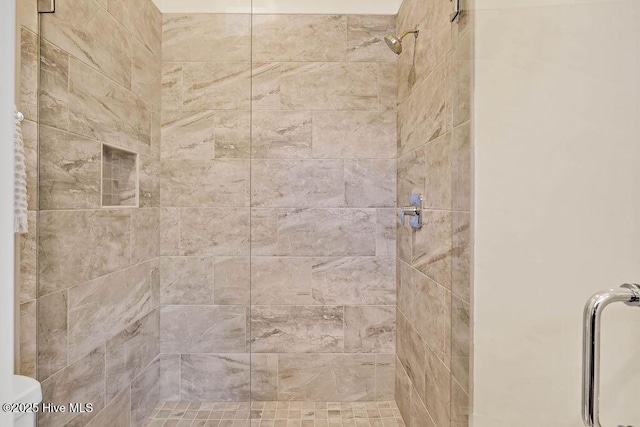 3810 River Park Way NE, Leland, NC 28451 - bathroom with tiled shower and toilet