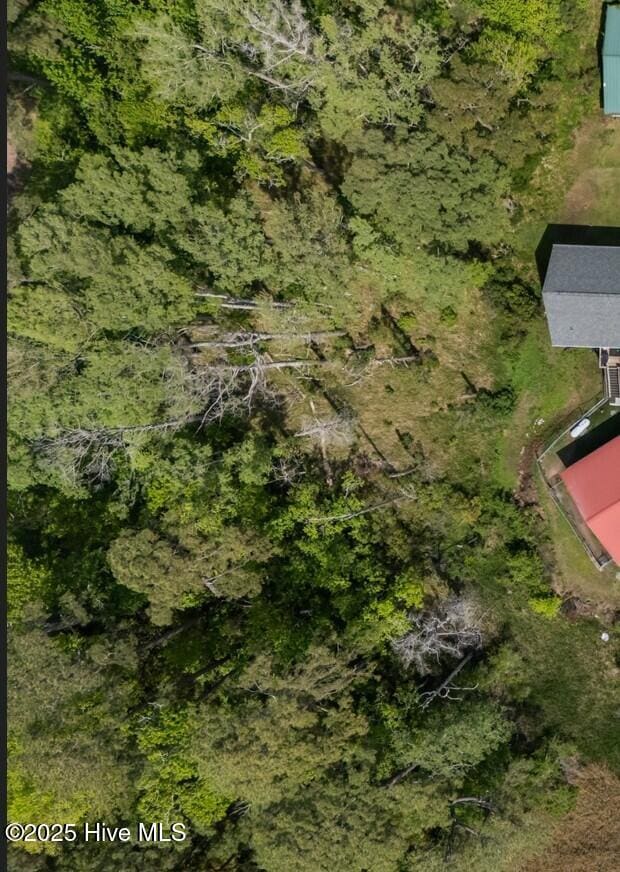 00 River Rd, Arapahoe, NC 28510