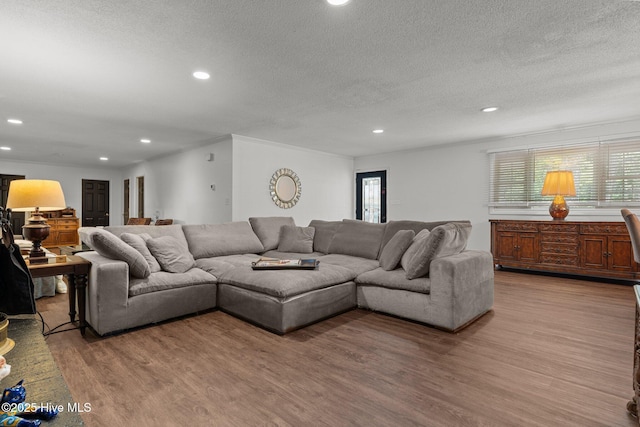 140 One Down St, Southern Pines, NC 28387 - living room with a textured ceiling, plenty of natural light, wood finished floors, and recessed lighting