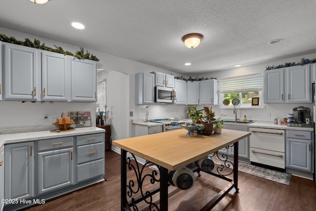 140 One Down St, Southern Pines, NC 28387 - kitchen with stainless steel appliances, gray cabinetry, a sink, light countertops, and recessed lighting
