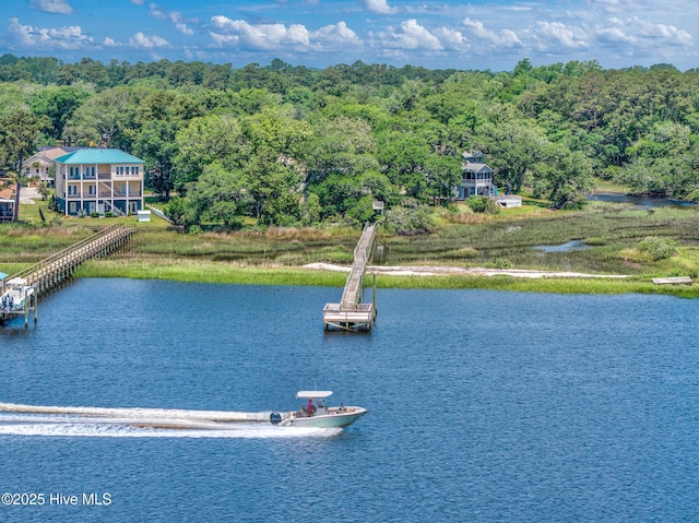 1137 Indigo Cir, Sunset Beach, NC 28468 - water view with a forest
