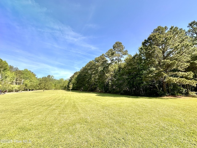 141 Baybreeze Dr, Shiloh, NC 27974 - view of green lawn