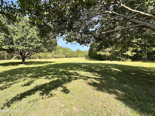 141 Baybreeze Dr, Shiloh, NC 27974 - view of green lawn