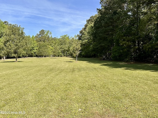 141 Baybreeze Dr, Shiloh, NC 27974 - view of green lawn