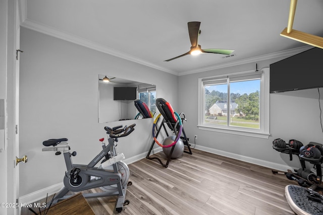 2221 Greaves Ct, Winterville, NC 28590 - workout room featuring ceiling fan, crown molding, and light wood-style floors