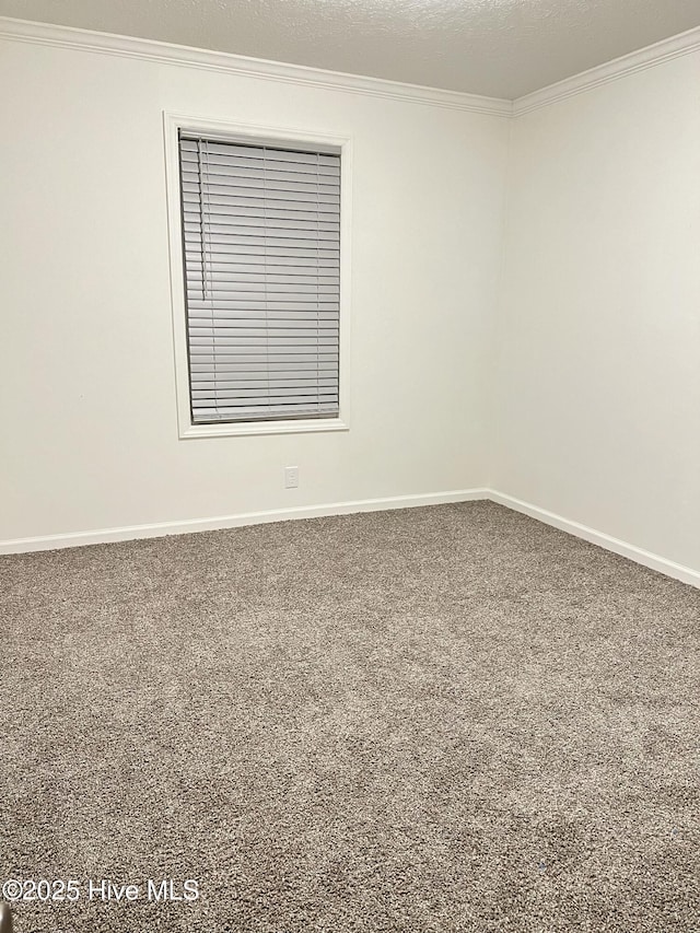 417 S Herman St, Goldsboro, NC 27530 - empty room with crown molding, carpet flooring, and baseboards