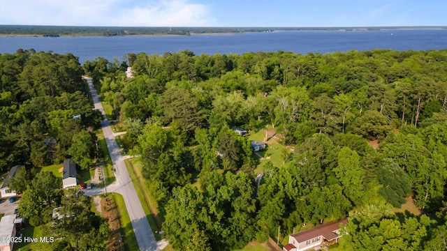 215C Battleground Ave, New Bern, NC 28560 - aerial view of property's location with a large body of water