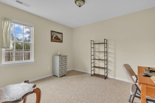 136 Van Riggs Rd, Hubert, NC 28539 - home office featuring carpet flooring