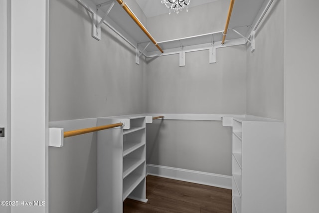 520 Cannonsgate Dr, Newport, NC 28570 - walk in closet featuring wood finished floors