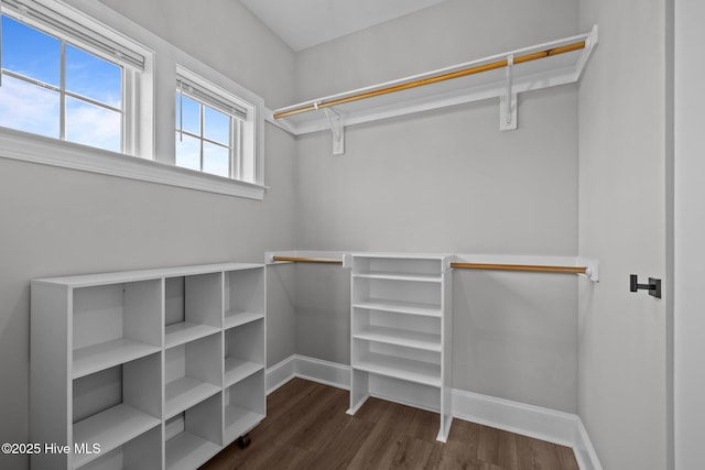 520 Cannonsgate Dr, Newport, NC 28570 - walk in closet featuring wood finished floors