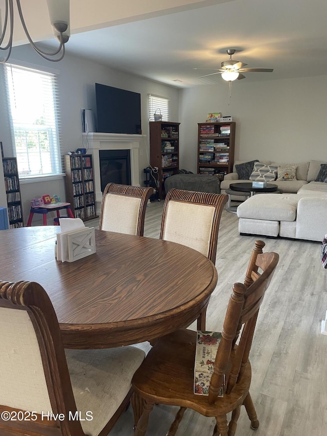87 Sun Meadow Cir, Benson, NC 27504 - dining room with plenty of natural light, light wood-style floors, ceiling fan, and a glass covered fireplace