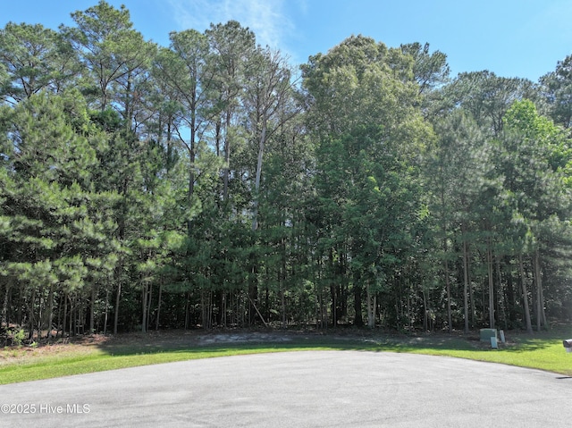 31-V Bennetts Creek Dr Unit 31, Hertford, NC 27944