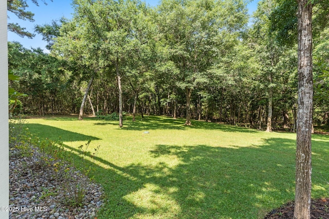 733 Legare Ln SW, Supply, NC 28462 - view of green lawn