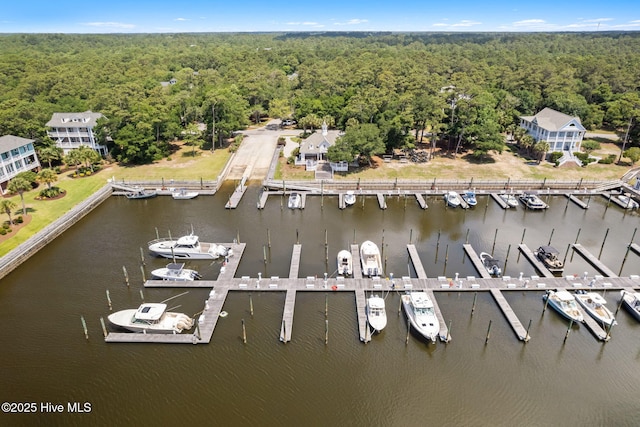 733 Legare Ln SW, Supply, NC 28462 - aerial view of a forest, a marina, and a large body of water