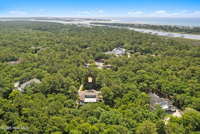 733 Legare Ln SW, Supply, NC 28462 - bird's eye view of a heavily wooded area and a large body of water