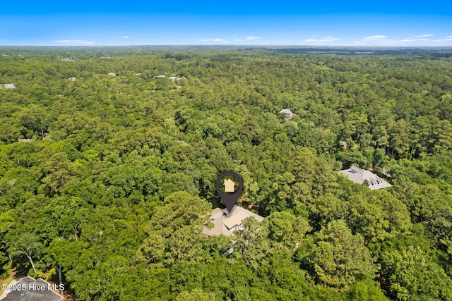 733 Legare Ln SW, Supply, NC 28462 - aerial view of property's location with a heavily wooded area