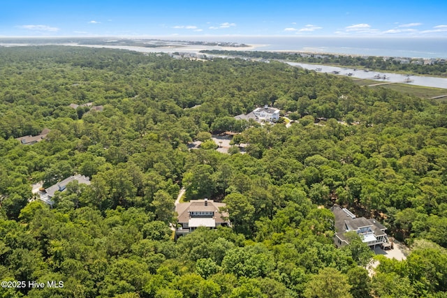 733 Legare Ln SW, Supply, NC 28462 - aerial view of a heavily wooded area and a large body of water