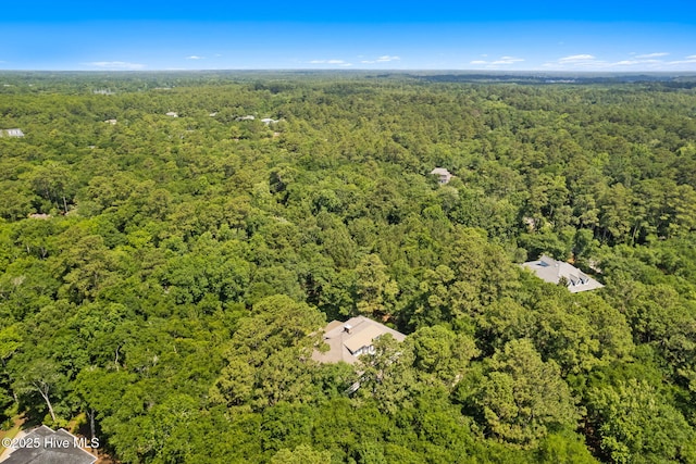 733 Legare Ln SW, Supply, NC 28462 - view of property location with a forest