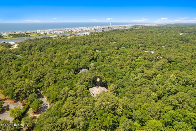 733 Legare Ln SW, Supply, NC 28462 - drone / aerial view of a heavily wooded area and a large body of water