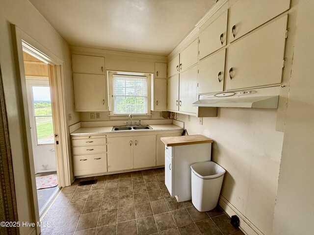 110 N Main St, Colerain, NC 27924 - kitchen featuring a sink, under cabinet range hood, and light countertops